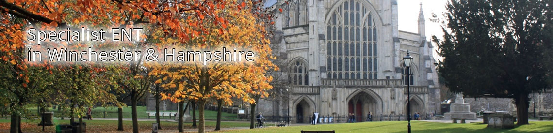 banner1